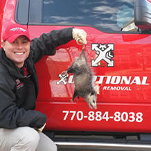 Xceptional Wildlife Removal Services
