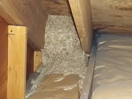 hornets nest in attic