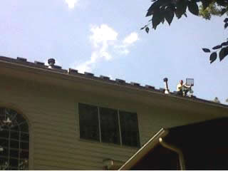animal damaged roof vent