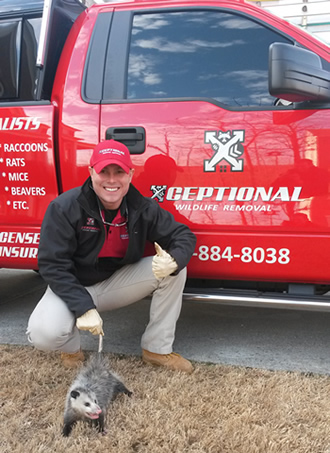 Commercial Wildlife Control Services | Animal Removal | Pest Control