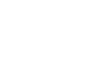 home protection icon