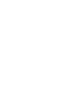 pest control expert icon