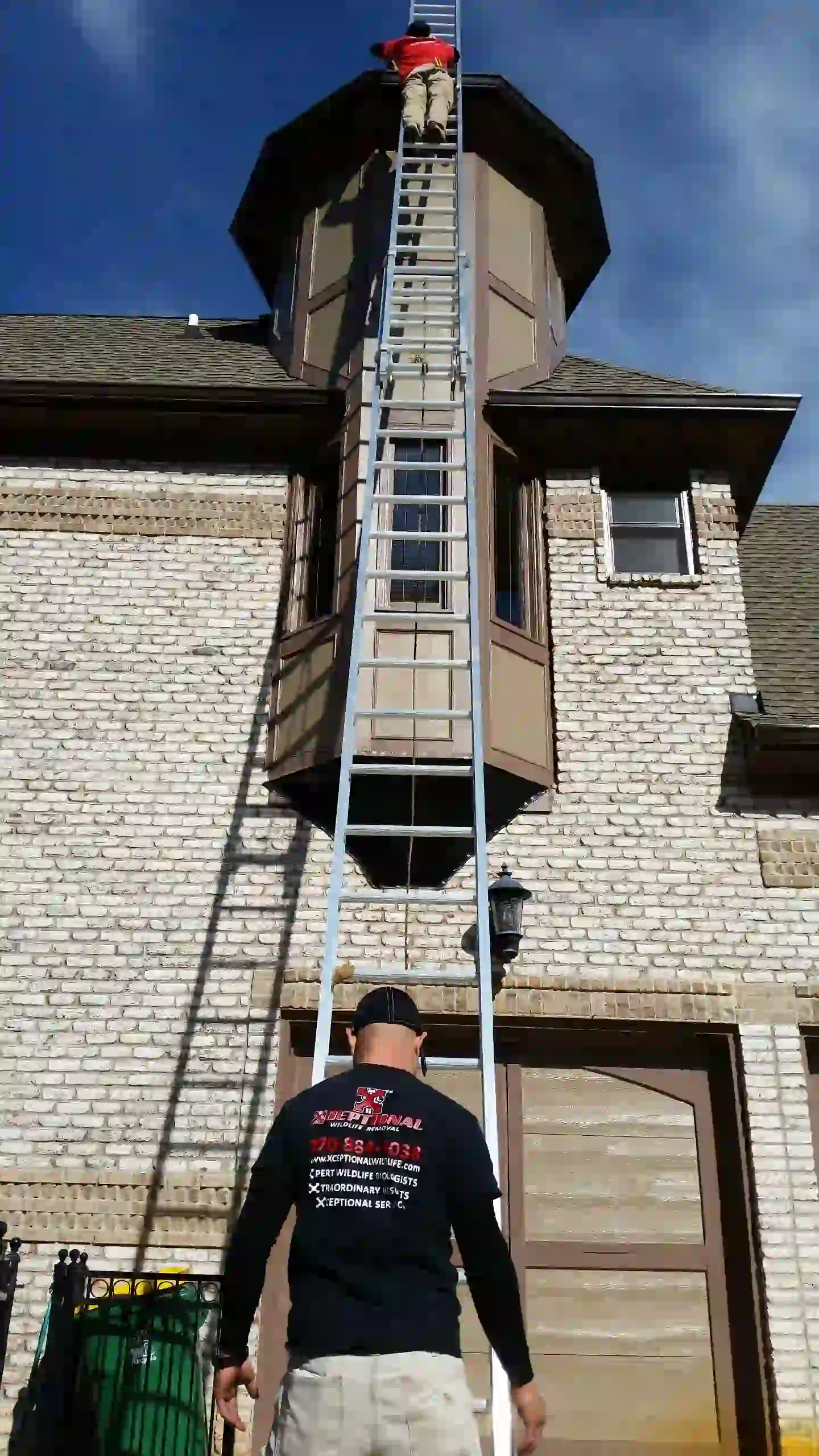 Xceptional Pest Control technicians climbing ladder to a vent on the side of a home