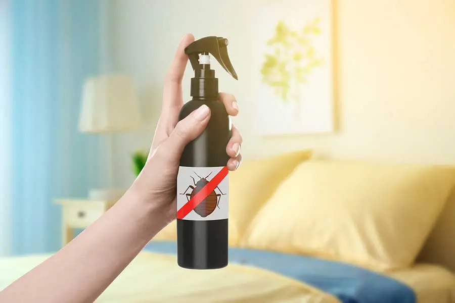 A hand holding a bottle of natural bug spray