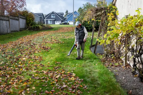 Person blowing leaves in a yard