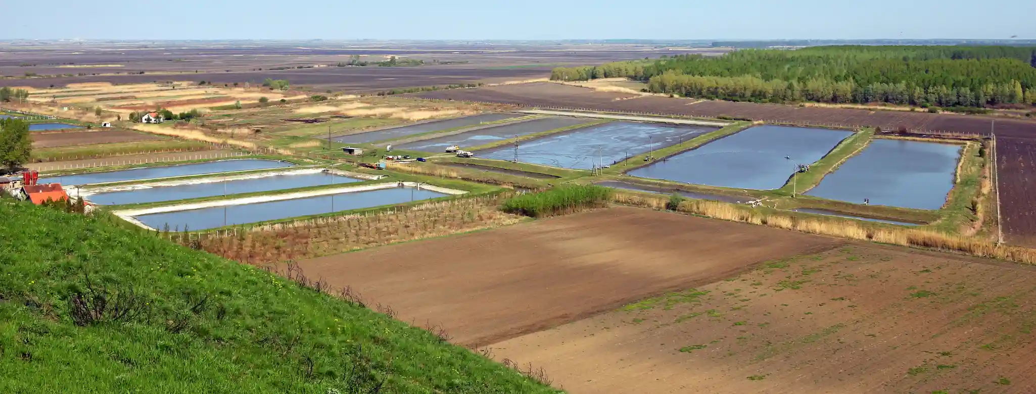 Aerial view of farmlands