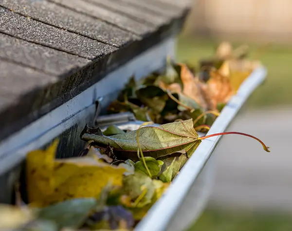 House gutter full of leaves