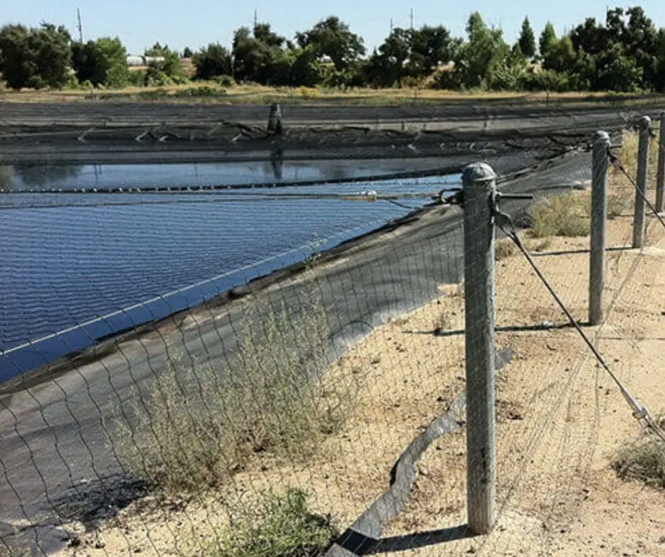Bird netting applied around a pond