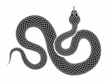 Snake icon