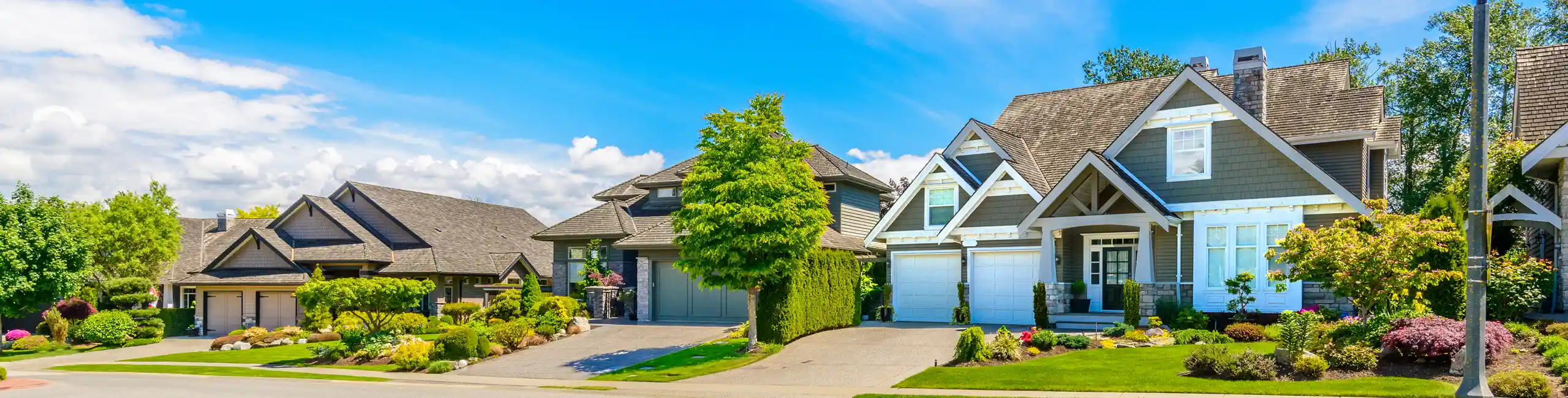 Houses in a suburban neighborhood in Virginia. Xceptional Wildlife Removal offers complete home services to ensure your residence is pest-free.
