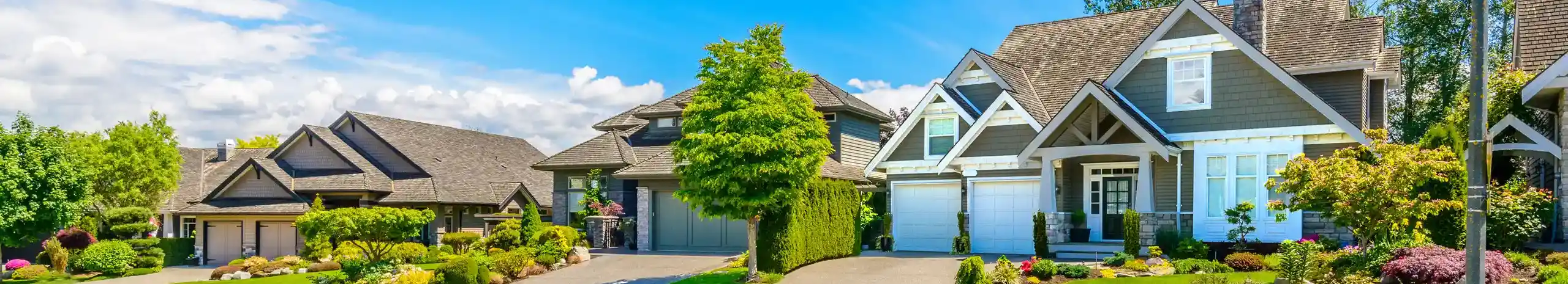 A residential neighborhood. Xceptional Wildlife Removal offers professional wildlife control services.